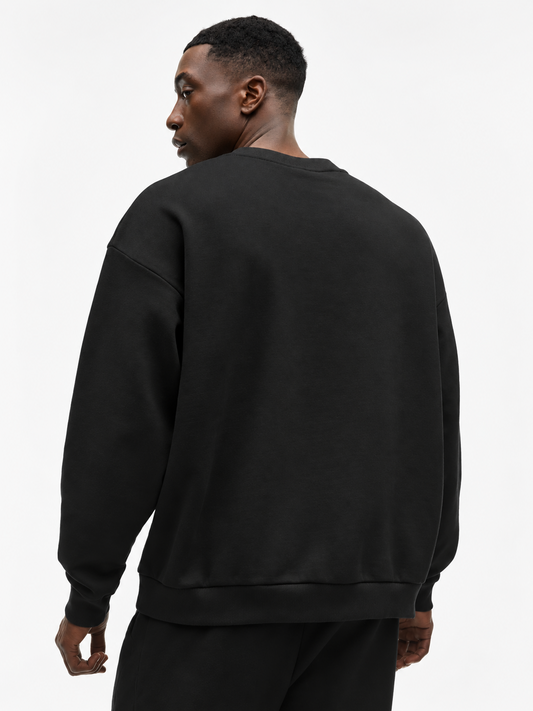 ALO Accolade Crew Neck Pullover – Black